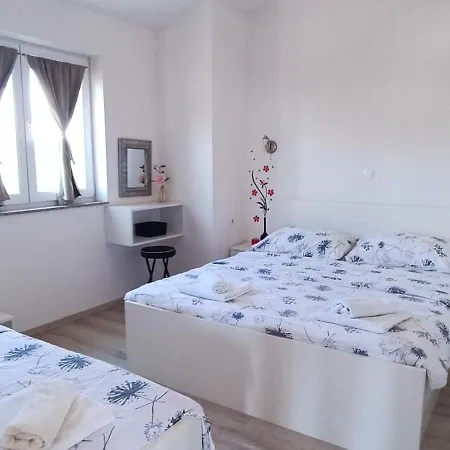 Sofija * Vrsi